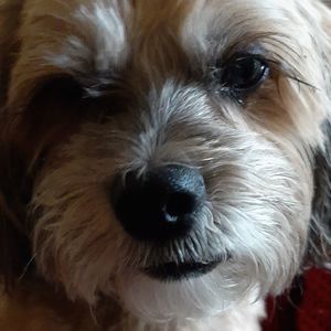 Meet your Posher, Stacie